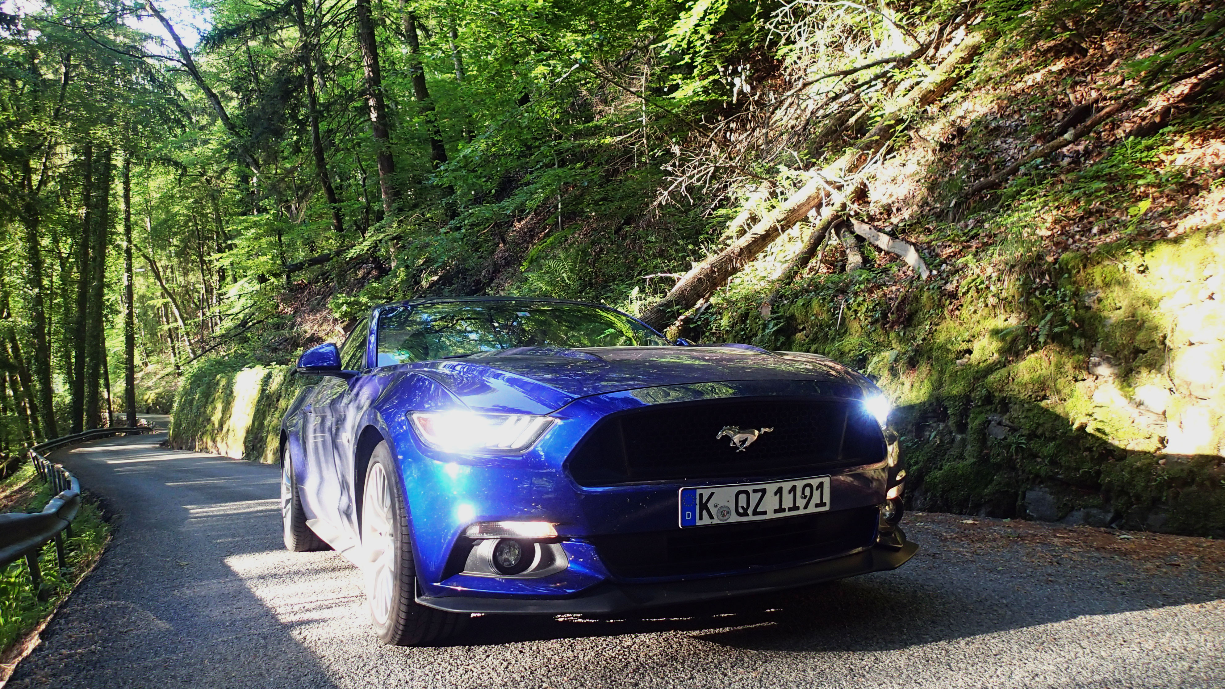Ford-Mustang-blau-Wald